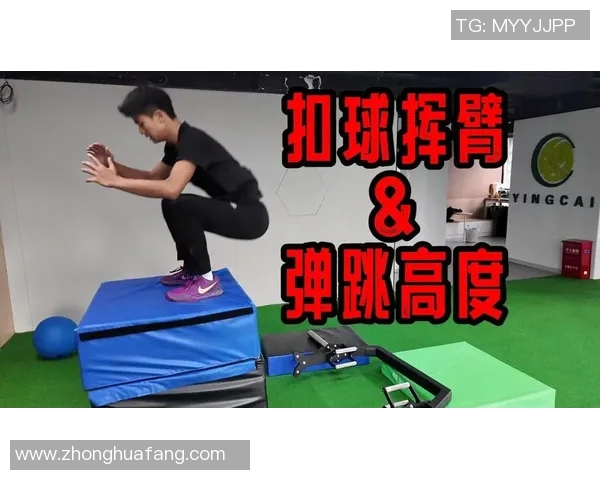 排球运动员扣球点高度对得分成功率的影响及其建模分析